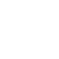 Google+ icon